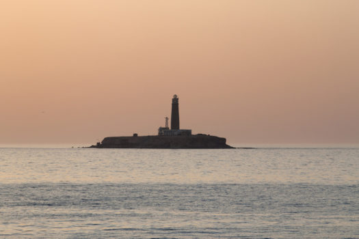 Faro. Genesi di una parola